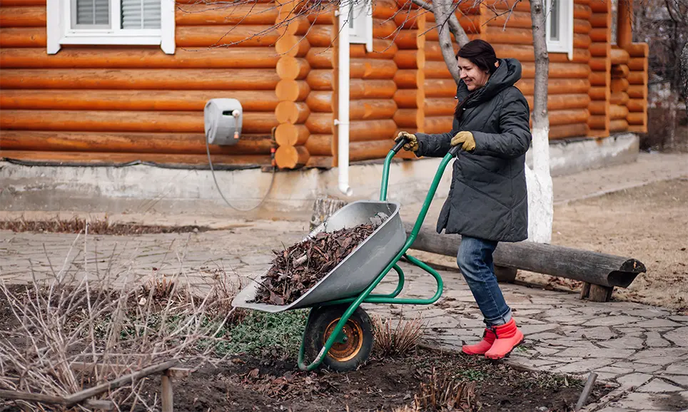 Winter Mulching: Enhancing Gardens with Organic Matter
