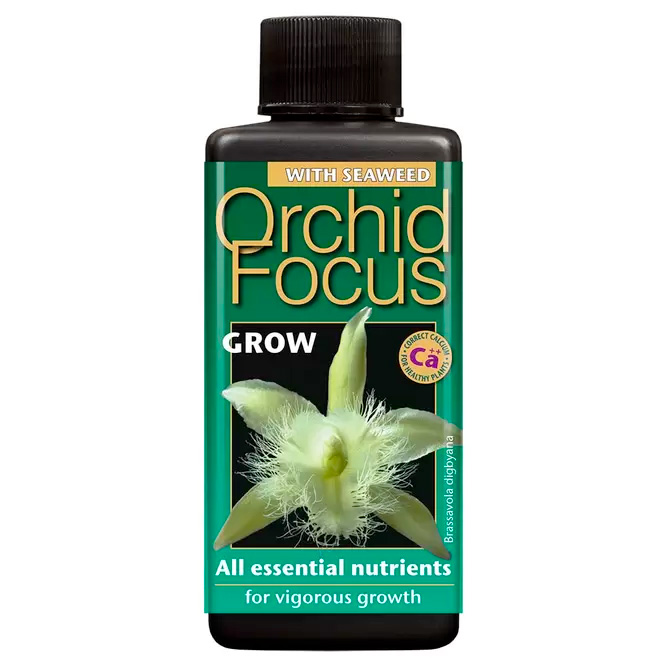 Orchid Focus - Orchid Feed Plant Food at Boma Garden Centre London