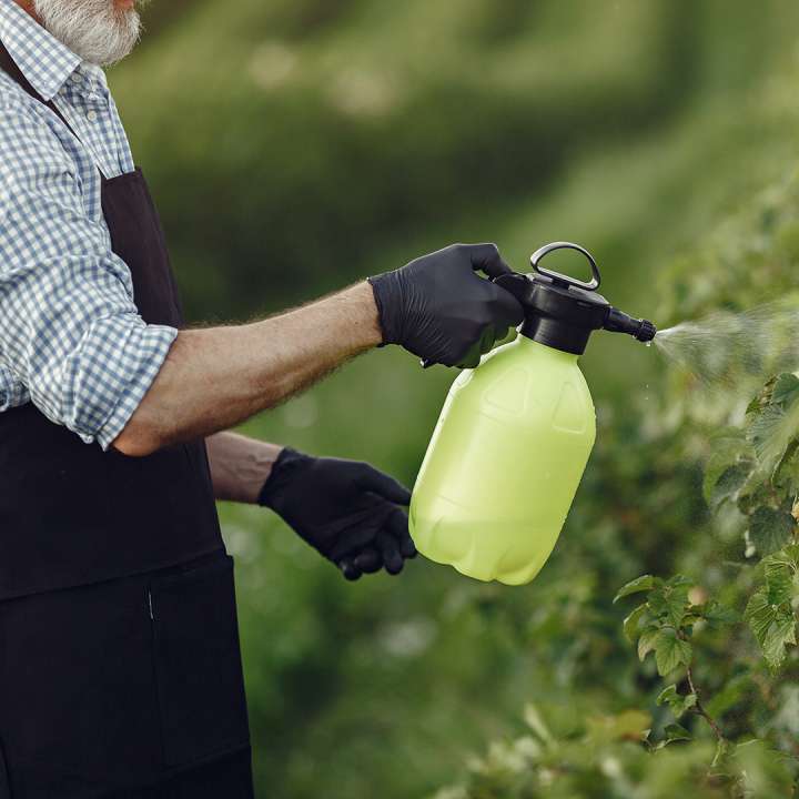 Organic Plant Food Pest and Disease Control at Boma garden centre