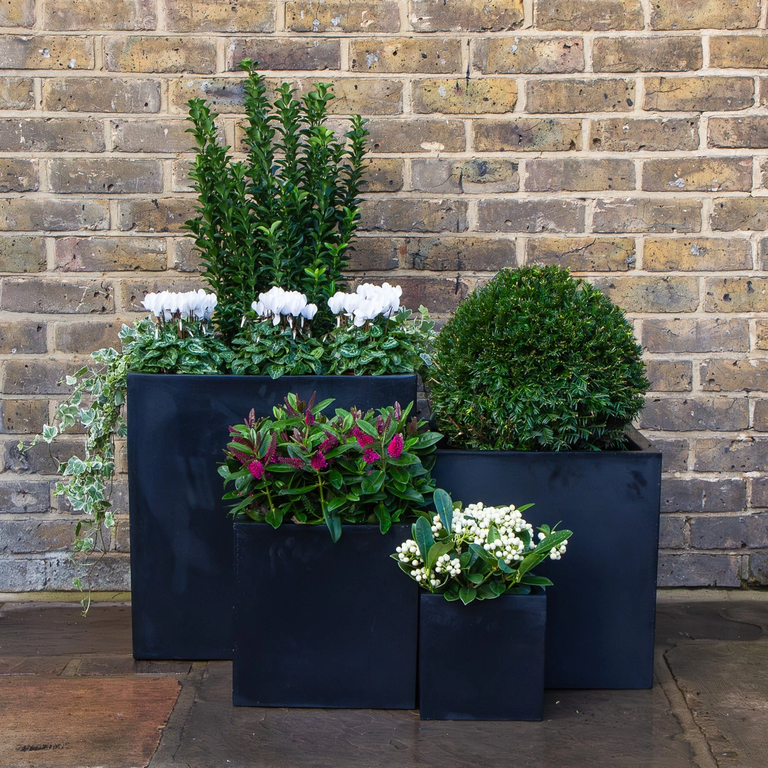 Polystone Planters at Boma Garden Centre Kentish Town London