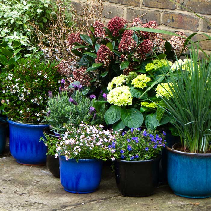 Pots & Planters Summer Sale