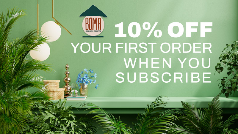 Get 10% Off your first order when you subscribe to Boma Garden Centre News