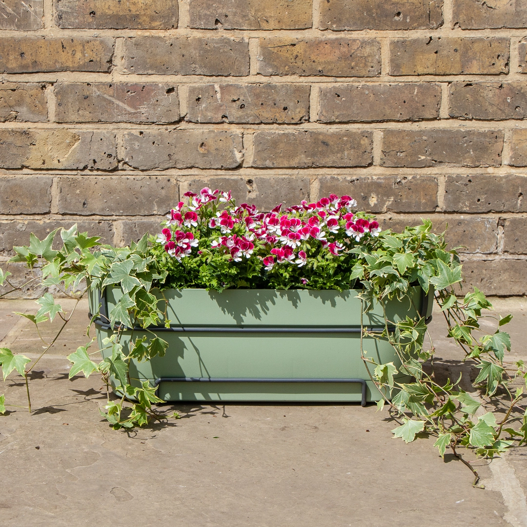 Plastic Plant Pots