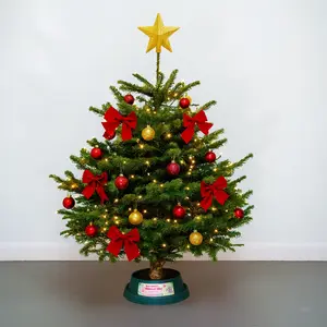 3-4Ft Nordmann Fir Premium Cut (100-125cm) Christmas Tree - image 3