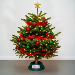 4-5Ft Nordmann Fir Premium Cut (125-150cm) Christmas Tree - image 3