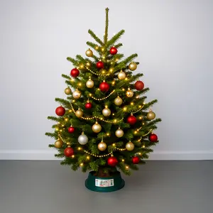 5-6Ft Nordmann Fir Premium Cut (150-180cm) Christmas Tree - image 3