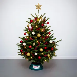 6-7Ft Nordmann Fir Premium Cut (180-210cm) Christmas Tree - image 3