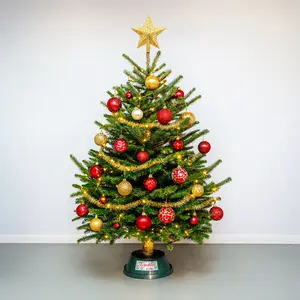 7-8Ft Nordmann Fir Premium Cut (210-240cm) Christmas Tree - image 3
