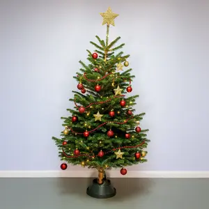 9-10Ft Nordmann Fir Premium Cut (270-300cm) Christmas Tree - image 3