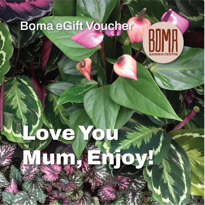 A eGift Voucher - Love You Mum, Enjoy!