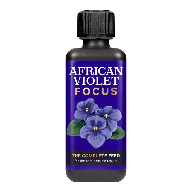 African Violet Focus 300ml - image 1