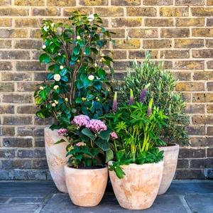 Aged Terracotta Egg Planter (D40x33cm) Handmade Outdoor Plant Pot - image 2