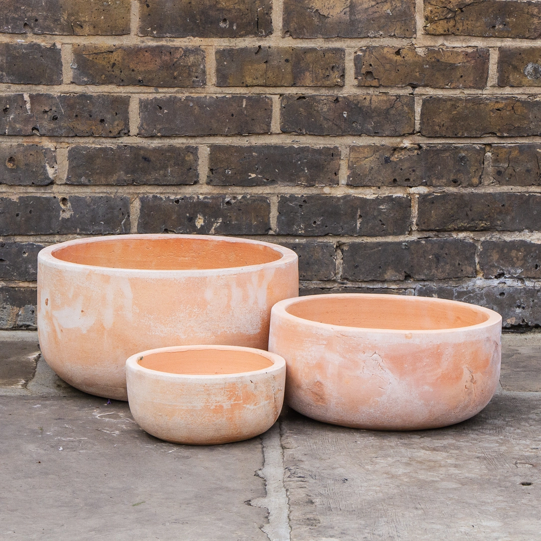 Terracotta bowl planter deals