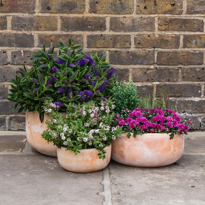 Aged Terracotta Handmade Bowl Planter (D38cm x H20cm) Outdoor Plant Pot - image 2