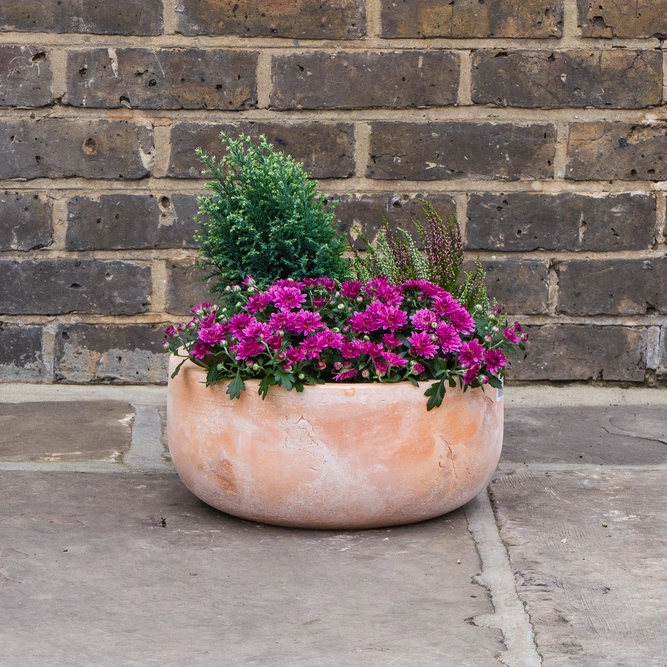 Aged Terracotta Handmade Bowl Planter (D33cm x H15cm) Outdoor Plant Pot - image 3