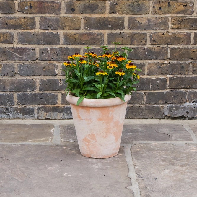 Aged Terracotta Handmade Coni Lip Planter (D30 x H30cm) Outdoor Plant Pot - image 3