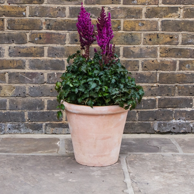 Aged Terracotta Handmade Coni Lip Planter (D38cm x H34cm) Outdoor Plant Pot - image 3