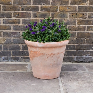 Aged Terracotta Handmade Coni Lip Planter (D47cm x H41cm) Outdoor Pot Plant - image 3