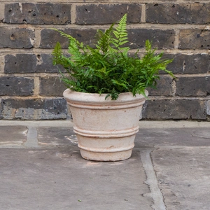 Aged Terracotta Handmade Coni Planter (D24cm x H20cm) Outdoor Plant Pot - image 3