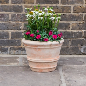 Aged Terracotta Handmade Coni Planter (D33cm x H25cm) Outdoor Plant Pot - image 3
