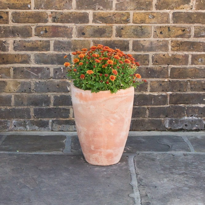 Aged Terracotta Handmade Egg High Planter (D31cm x H40cm) Outdoor Plant Pot - image 3