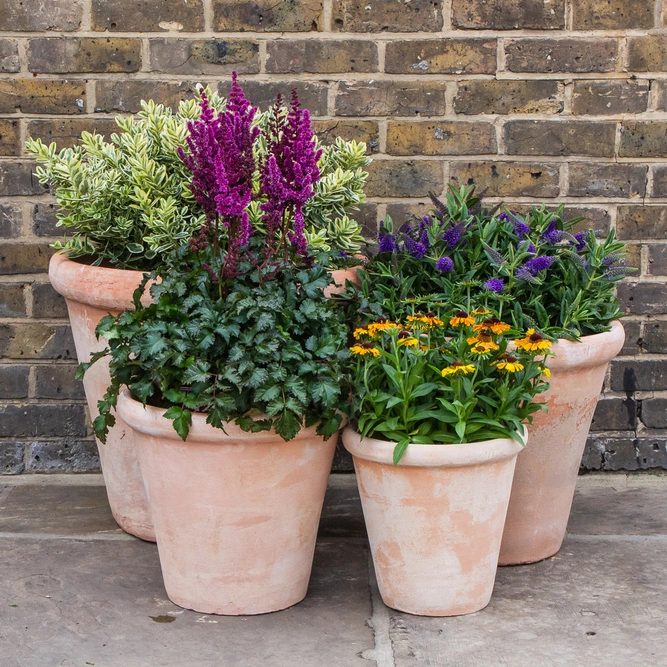 Aged Terracotta Lip Planter (D38cm x H34cm) Handmade Outdoor Plant Pot - image 3