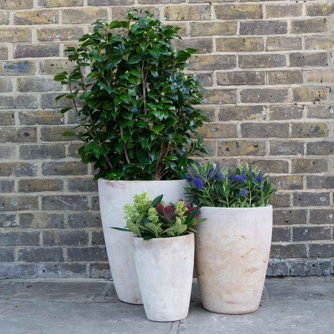 Aged Terracotta Planter - Colburn (D43xH48cm) Handmade Outdoor Pot - image 3
