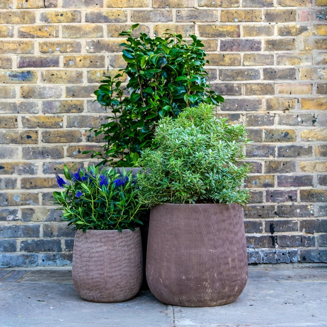 Aged Terracotta Planter - Linen (D54xH54cm) Handmade Outdoor Pot - image 3