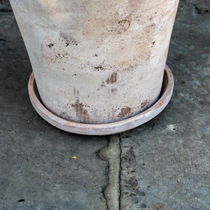 Aged Terracotta Saucer - Alicia (D34cm) Outdoor Pot Saucer - image 4