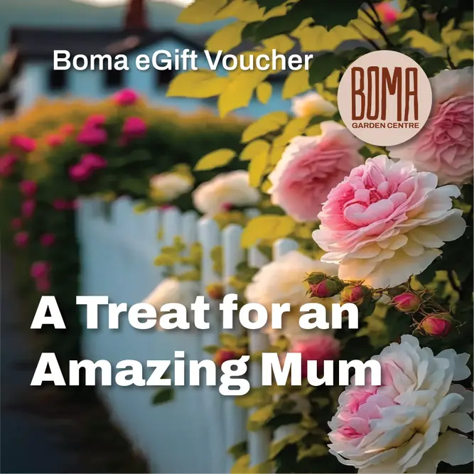 An eGift Voucher - A Treat For An Amazing Mum