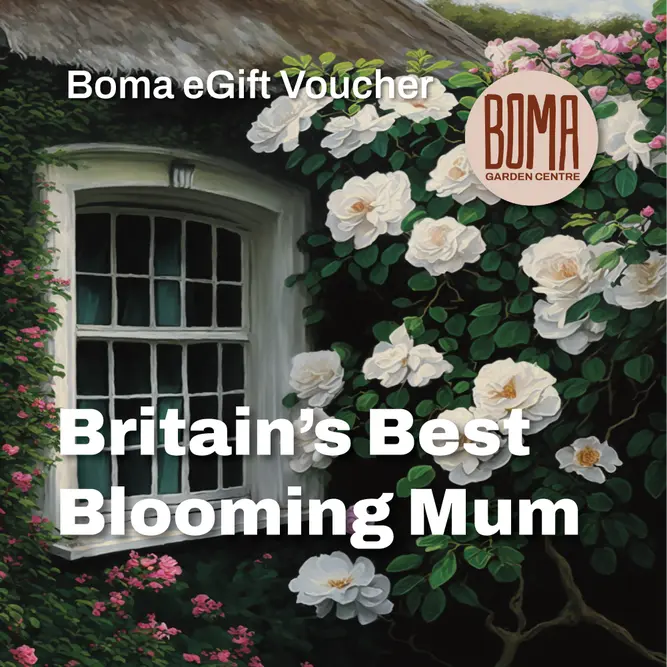 An eGift Voucher - Britain's Best Blooming Mum