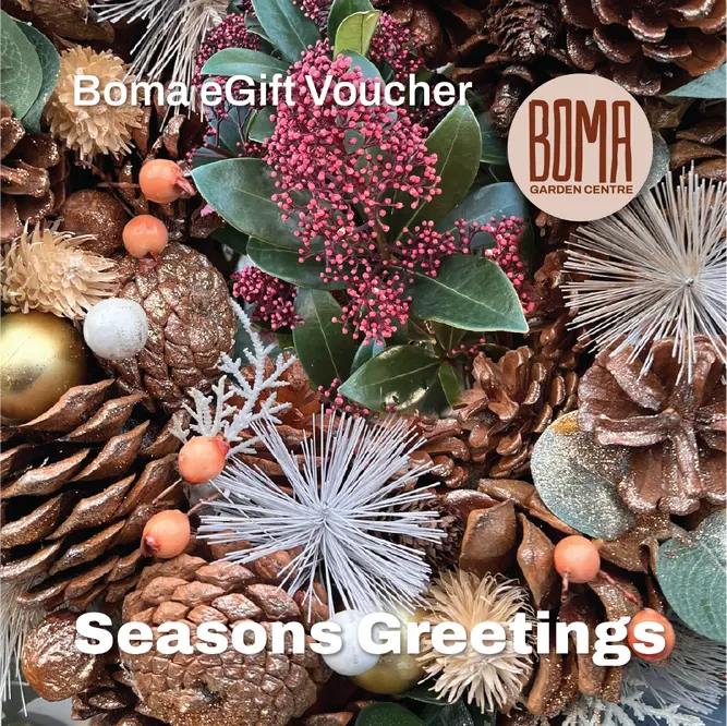 An eGift Voucher - Season's Greetings