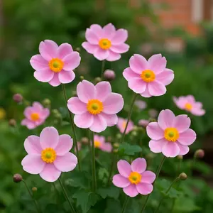 Dreamy Pixel, CC BY 4.0 <https://creativecommons.org/licenses/by/4.0>, via Wikimedia Commons