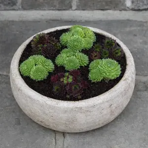 Antico Annalise Aged Terracotta Bowl (D43x15cm) Outdoor Plant Pot - image 3