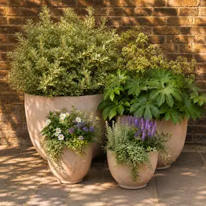 Antico Causago Aged Terracotta Egg Planter (D33cm x H31cm) Handmade Outdoor Plant Pot - image 2