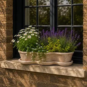 Antico Costa Aged Terracotta Window Box (W48xD16xH10cm) Outdoor Plant Pot - image 2