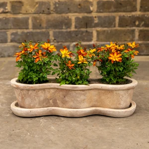 Antico Costa Aged Terracotta Window Box (W84xD16xH10cm) Outdoor Plant Pot - image 2