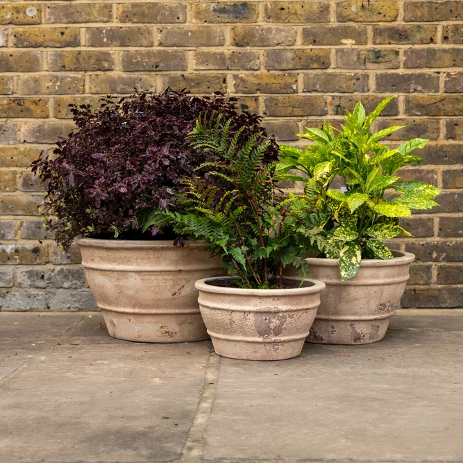 Antico Mera Aged Terracotta Planter (D34x19cm) Handmade Outdoor Pot - image 2