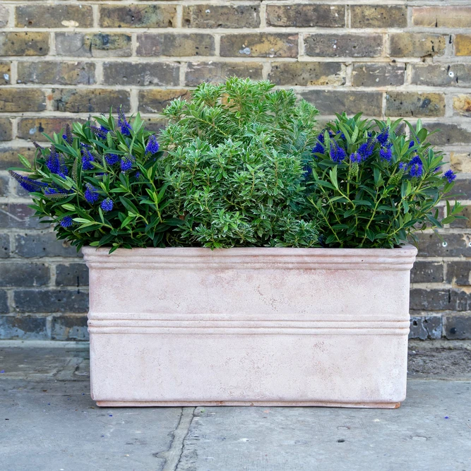 Antico Ribbed Aged Terracotta Trough (W75cmxH37xD37) Outdoor Plant Trough - image 3