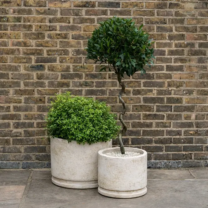 Antico Sombra Aged Terracotta Planter (D50x45cm) Handmade Outdoor Plant Pot - image 2