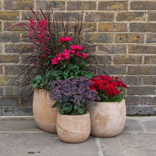 Antique Sand Boolay Stone Planter (D20cm x H19cm) Outdoor Plant Pot - image 5