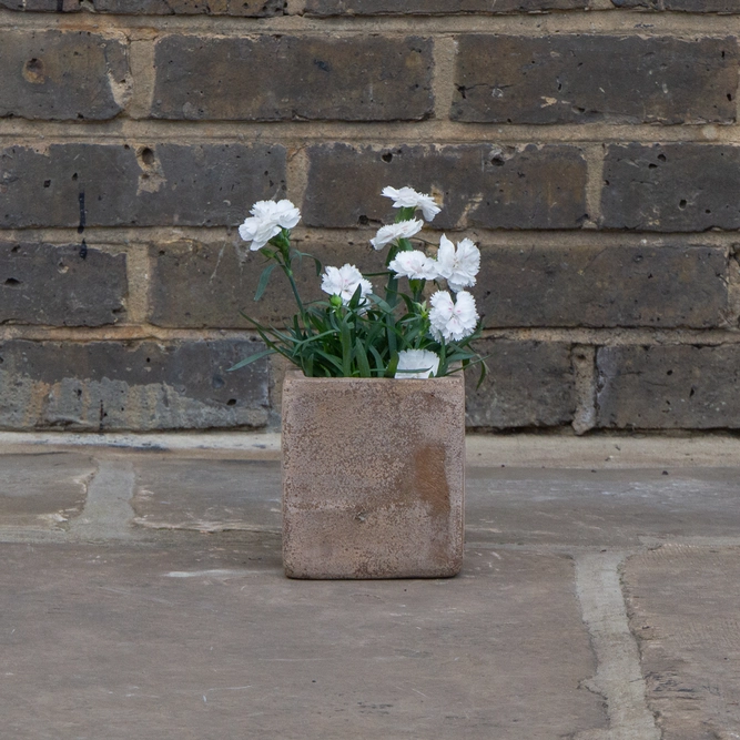 Antique Sand Cube Stone Planter (D12cm x H13cm) Terracotta Outdoor Plant - image 3