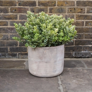 Antique Stone Handmade Cairo Cylinder Planter (D27cm x H27cm) Outdoor Plant Pot - image 3