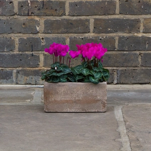 Antique Sand Handmade Trough Stone Planter (D24 x W11 x H12cm) Terracotta Outdoor Plant Pot - image 3