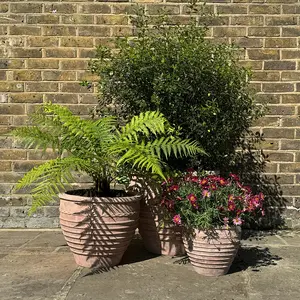 Antique Sand Ribbed Urn (Pot Size D55xH47cm) Terracotta Outdoor Plant Pot - image 2
