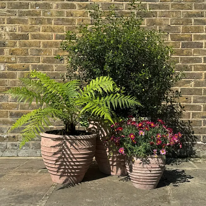 Antique Sand Ribbed Urn Stone Planter (Pot Size D28.5xH24cm) Terracotta Outdoor Plant Pot - image 2