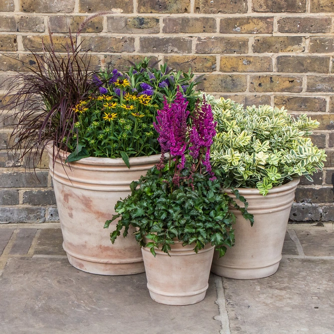 Antique Stone Triple Rim Planter (D53cm x H47cm) Outdoor Plant Pot - image 2