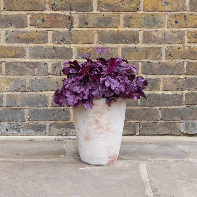 Antique Sand Vase Stone Planter (D44cmxH46cm) Outdoor Plant Pot - image 5