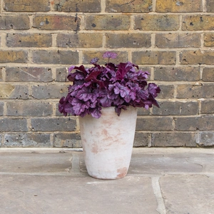 Antique Sand Vase Stone Planter (D44cmxH46cm) Outdoor Plant Pot - image 5