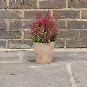 Antique Stone Handmade Cache Planter (D16cm x H16cm) Outdoor Plant Pot - image 3
